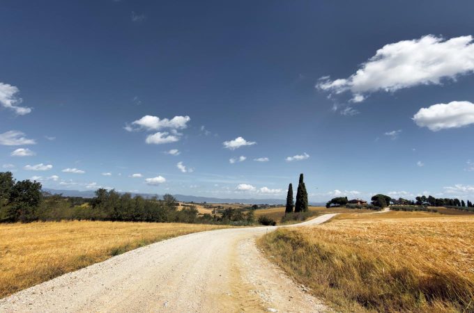 Strada bianca tra i campi di grano - paesaggio Val di Chiana
